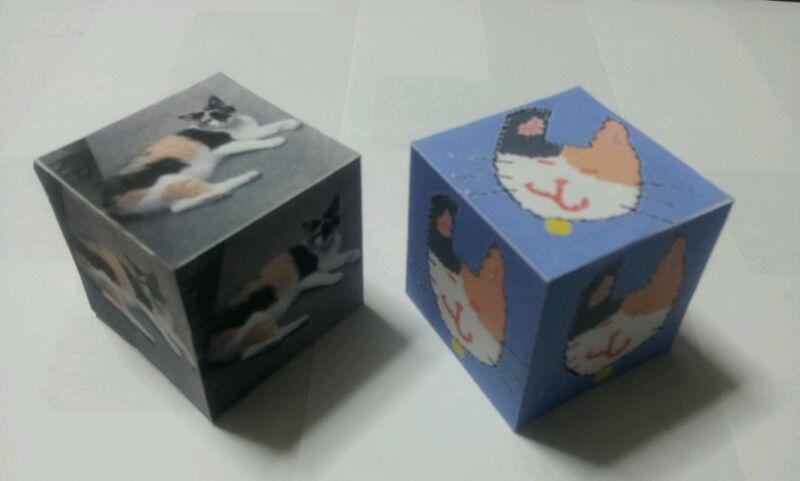 cat_cube_picture.jpg