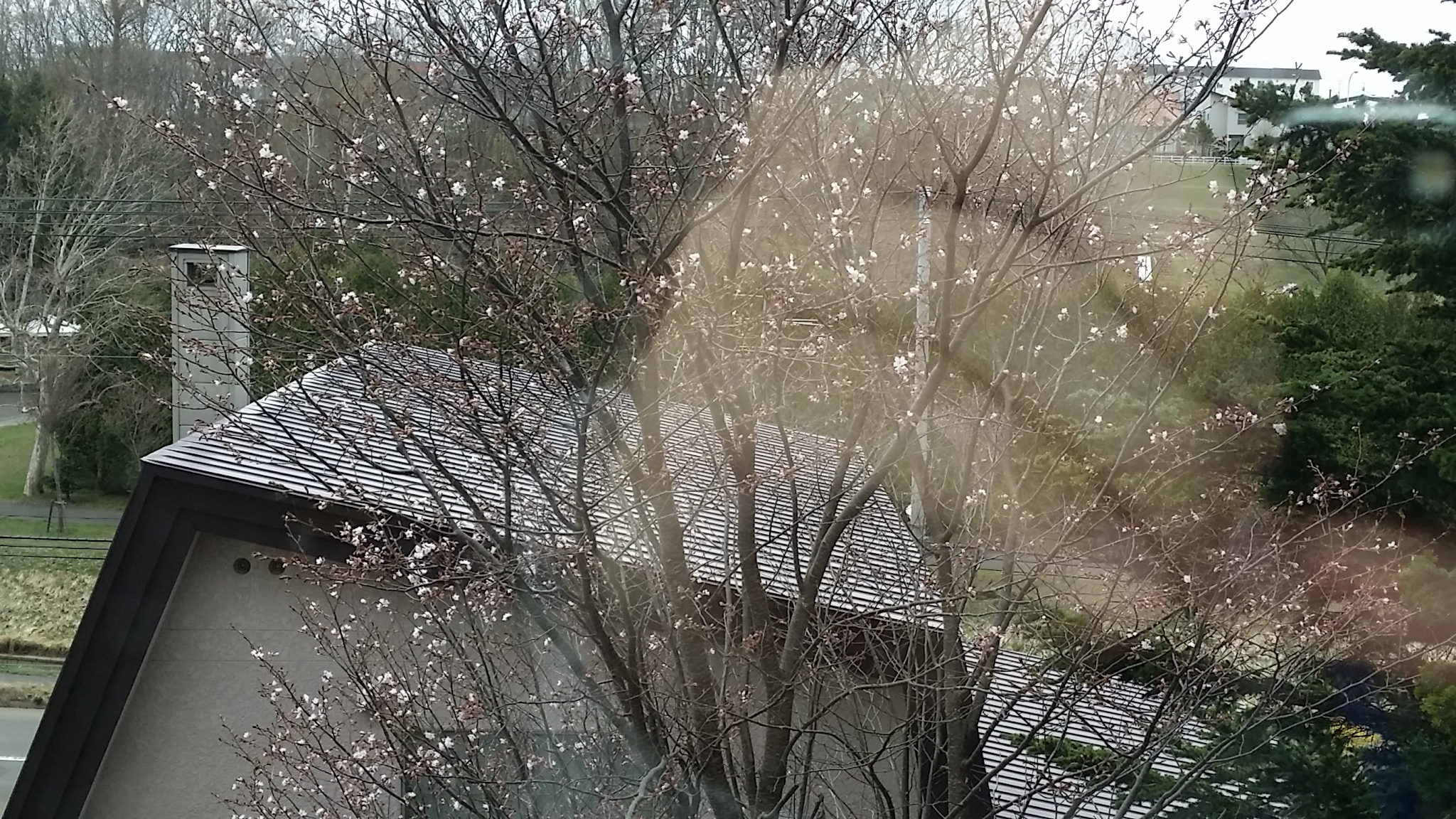 20140502_120159.jpg