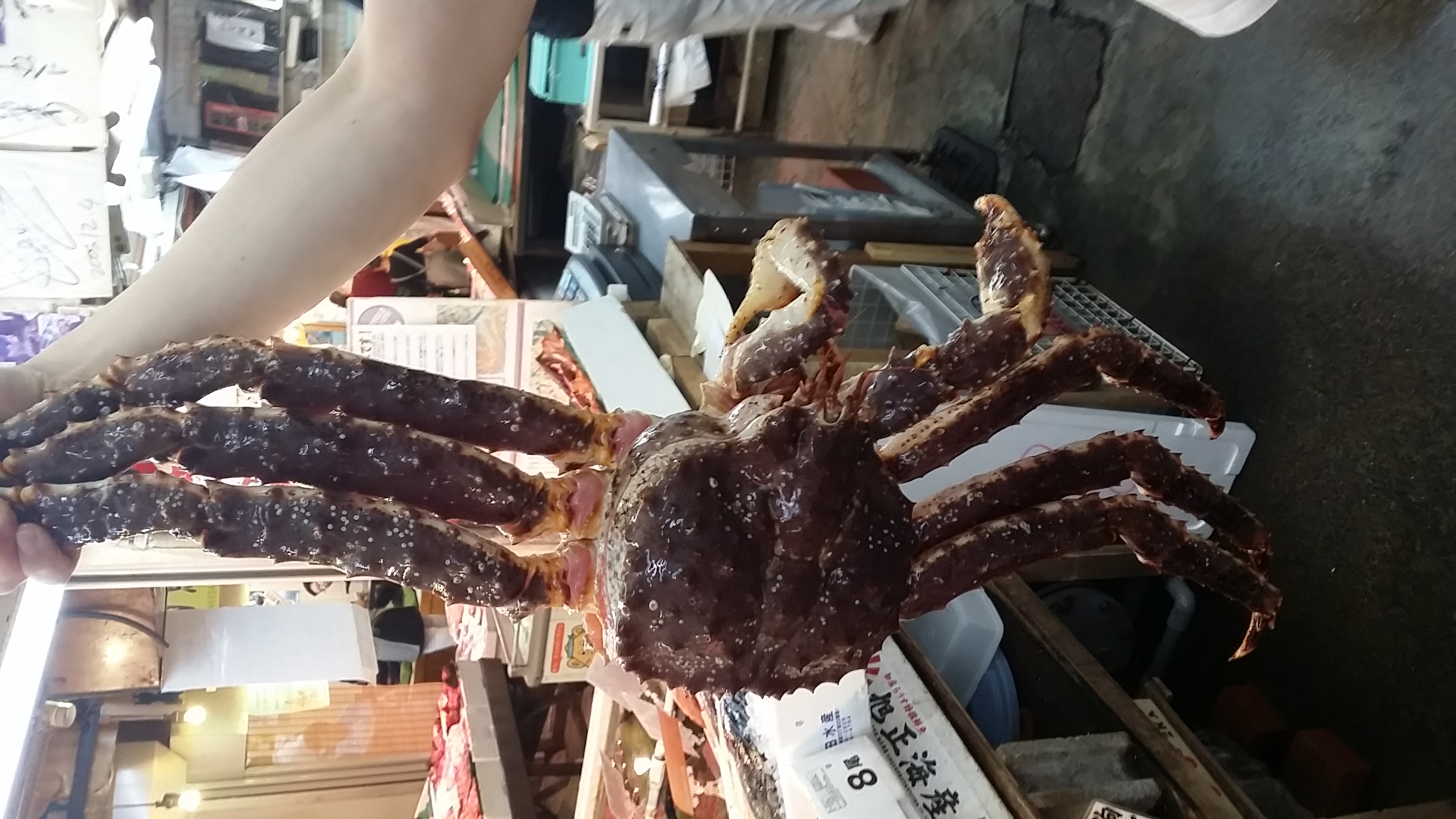 20140607_132739.jpg
