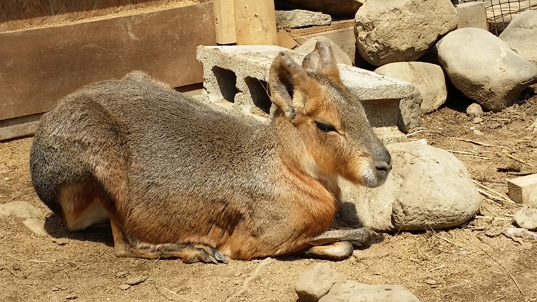 20150418_113855_.jpg