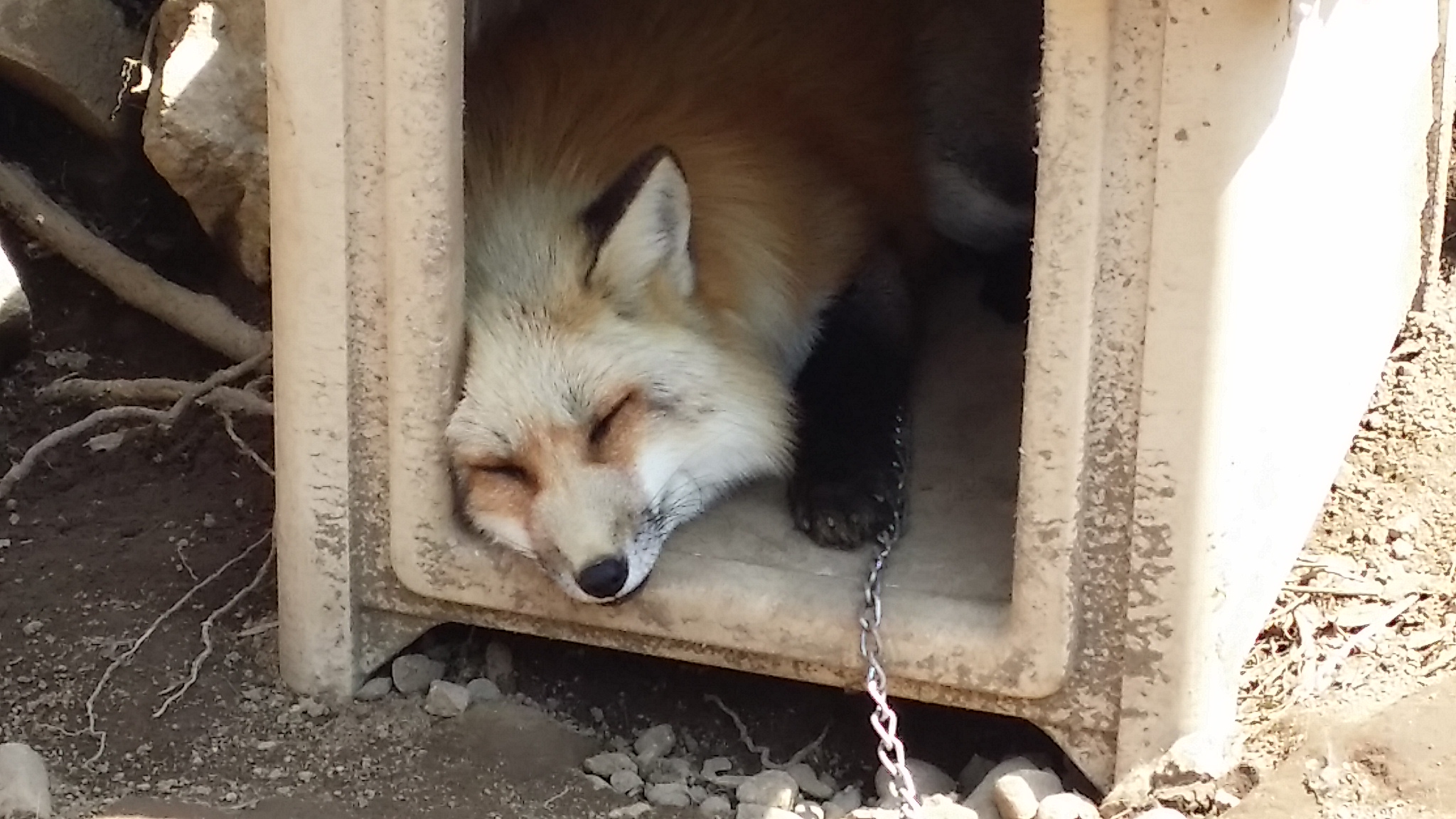 20150418_114224_.jpg