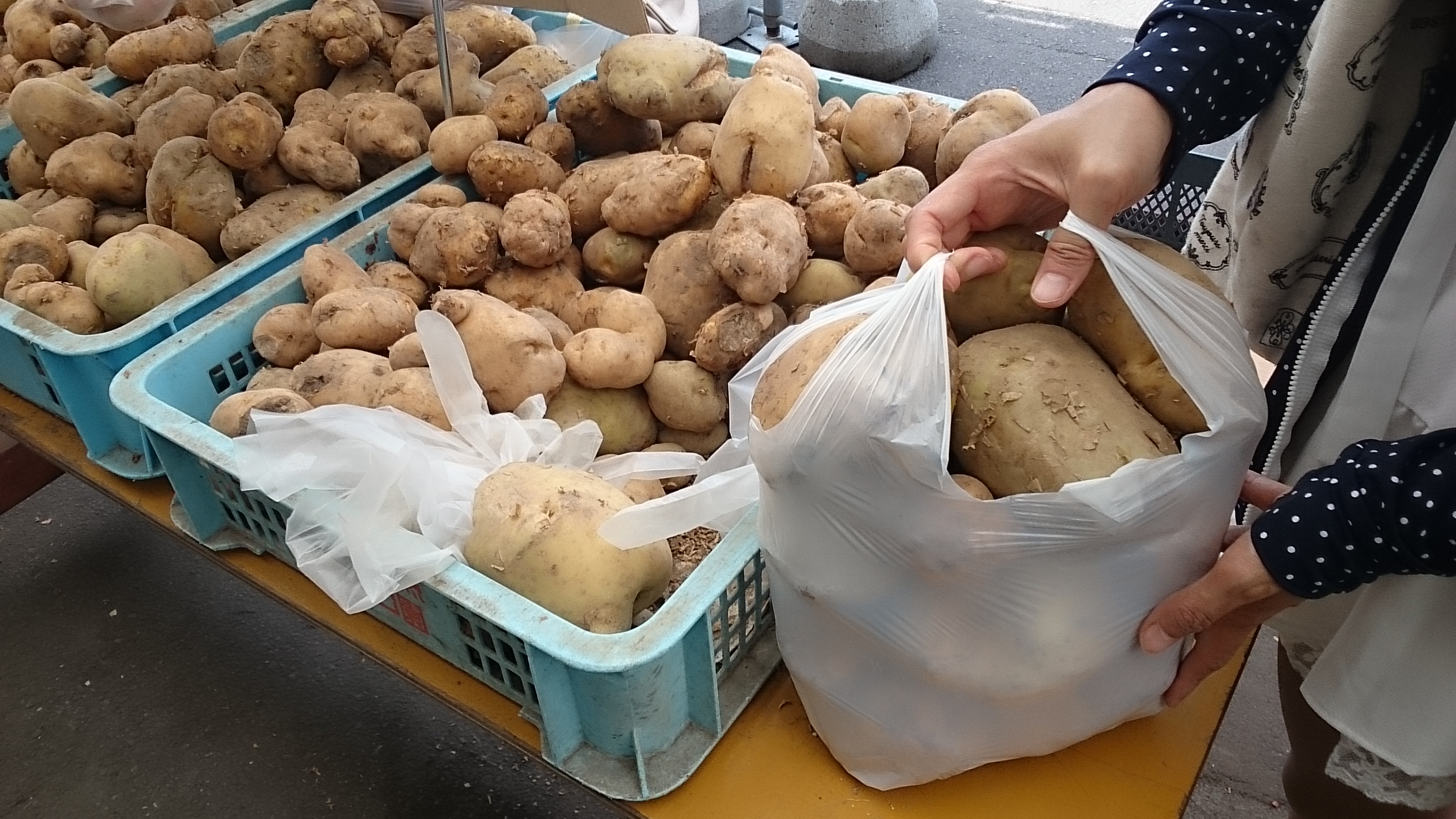 2015-07-20 12.24.05.jpg