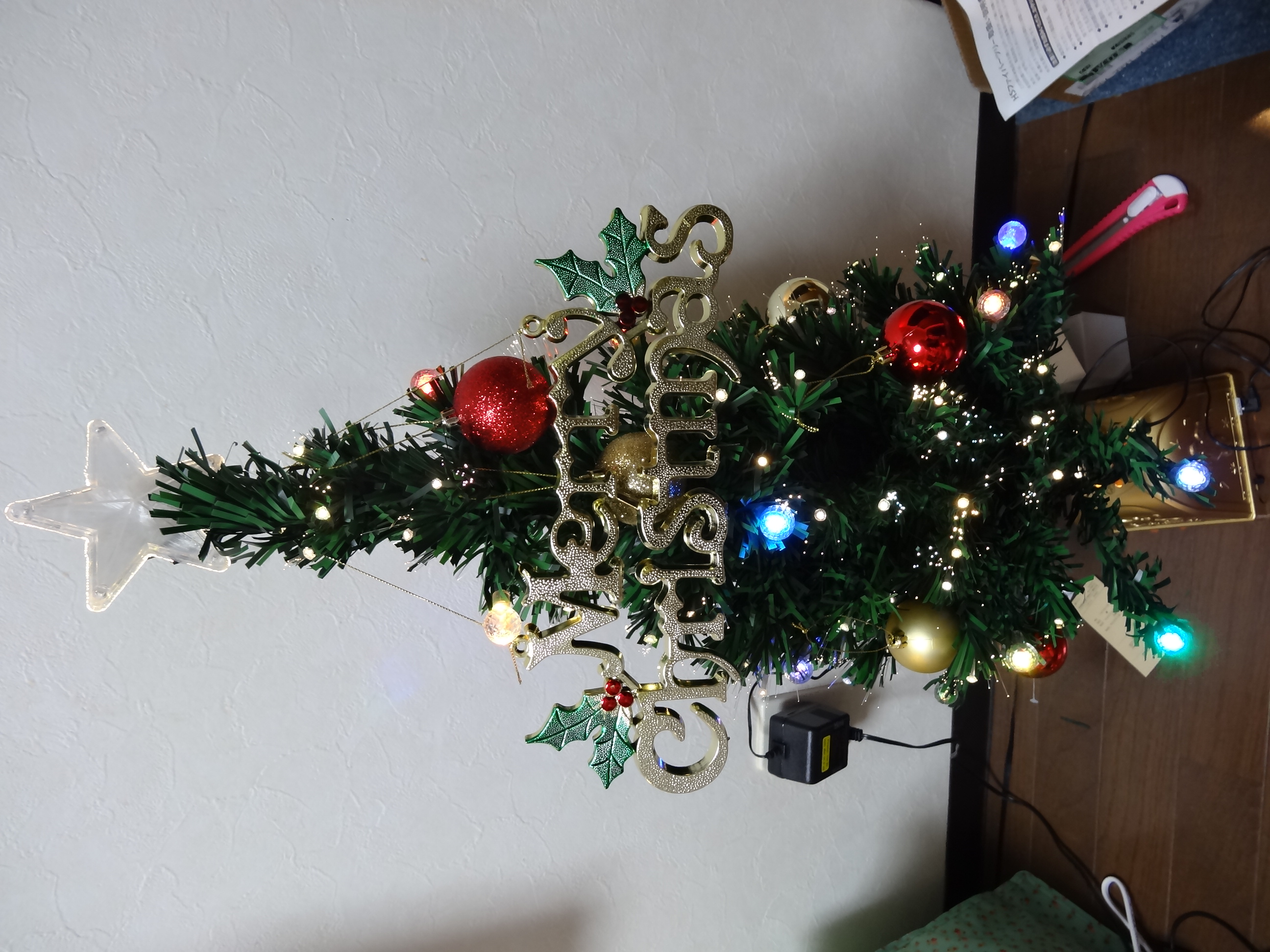 DSC01458.JPG