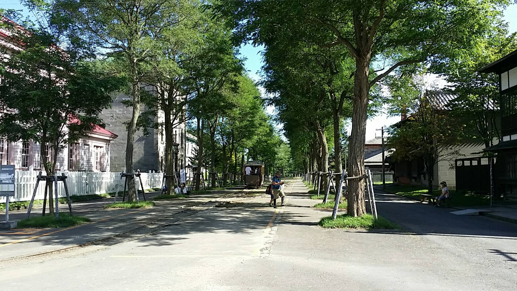 36296.jpg