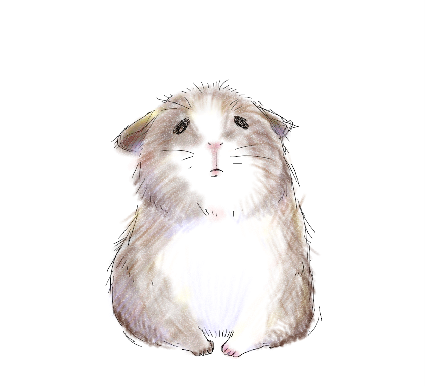 スケッチ.png