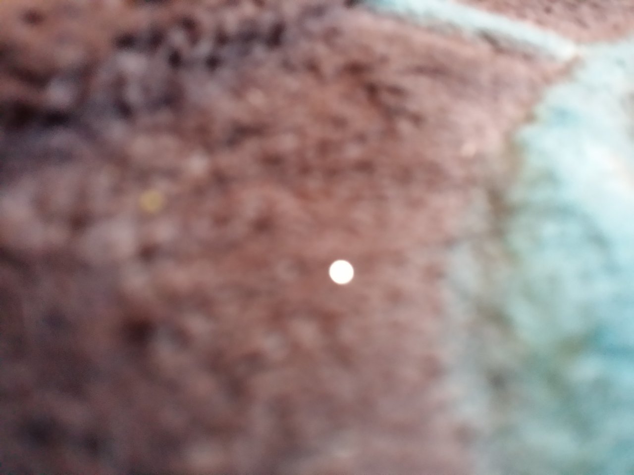 20180310_091144.jpg