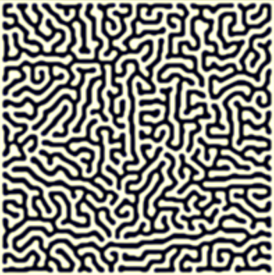 Maze.png