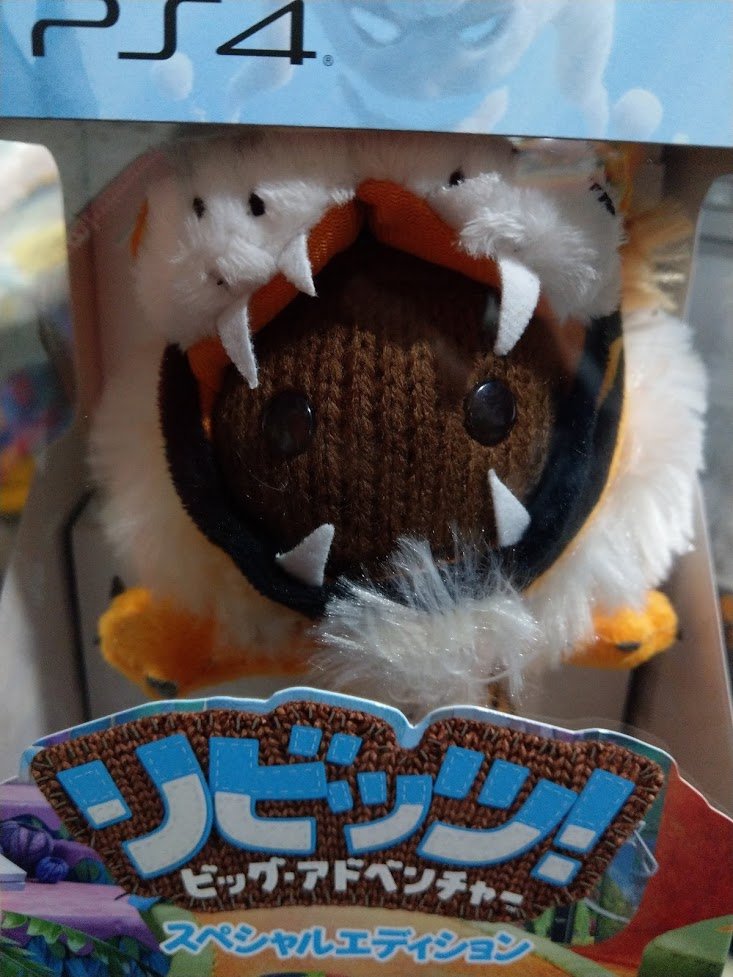 IMAG0675.jpg