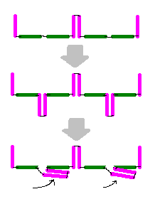 Fig.png