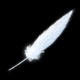 feather.jpeg